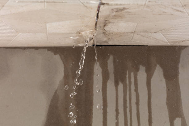 Professional Burst Pipe Cleanup technician working in Martin, OH